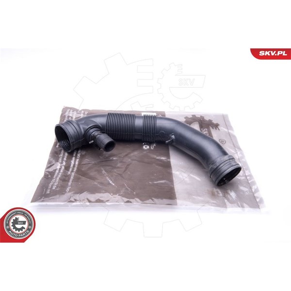 ESEN SKV Insug, luftfilter, Vänster bak, Vänster - P2040145 - audi, seat, skoda, vw - OE 1K0129684AE, 1K0129684AG