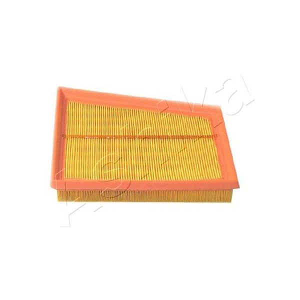 Luftfilter - P2071983 - ford fiesta v, fusion - OE 1338536, 1729857, 5S619601A1A