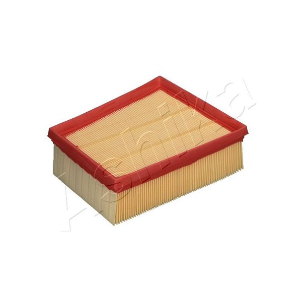 Luftfilter - P2071999 - nissan, renault - OE 16 54 605 43R, 16 54 678 60R, 16546-00Q4G