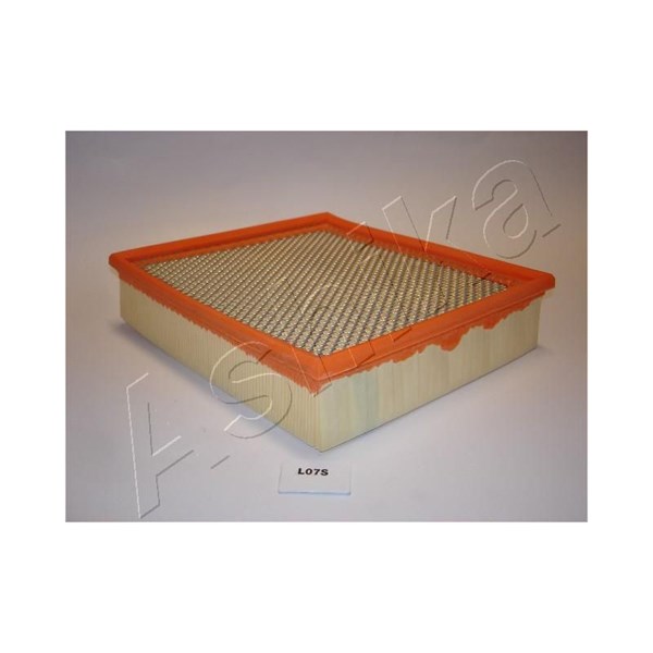 Luftfilter - P2072017 - land rover range rover i, range rover ii - OE ESR341