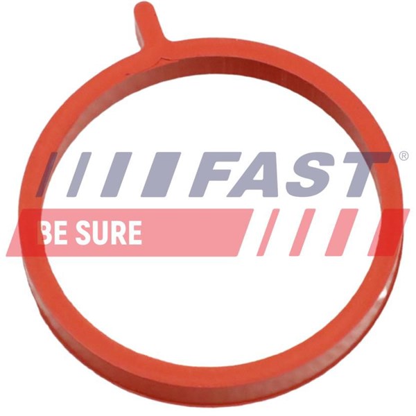 FAST Insug, luftfilter - P1926830 - fiat doblo buss, doblo cargo, doblo flak/chassi, opel combo skåp/stor limousine, combo tour - OE 52152071^