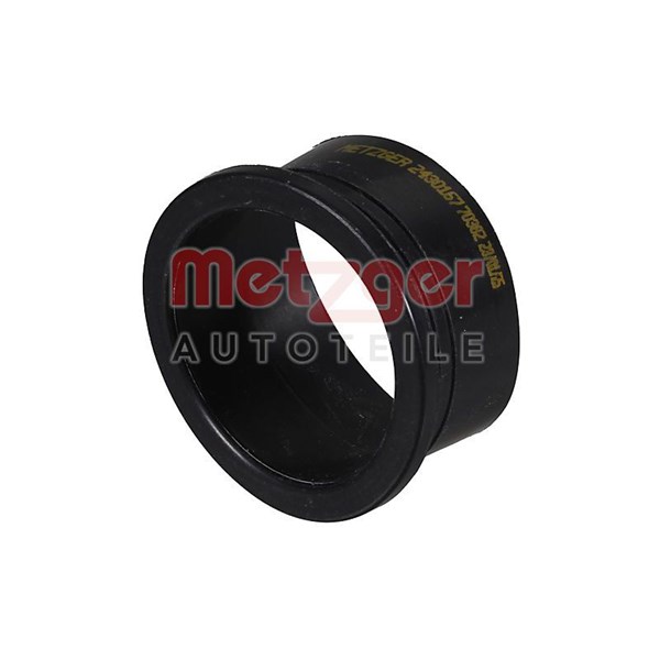 Insug, luftfilter - P2131769 - nissan qashqai i, qashqai van i, x-trail ii, x-trail van, renault koleos i - OE 14460JG70A, 14460-JG70A
